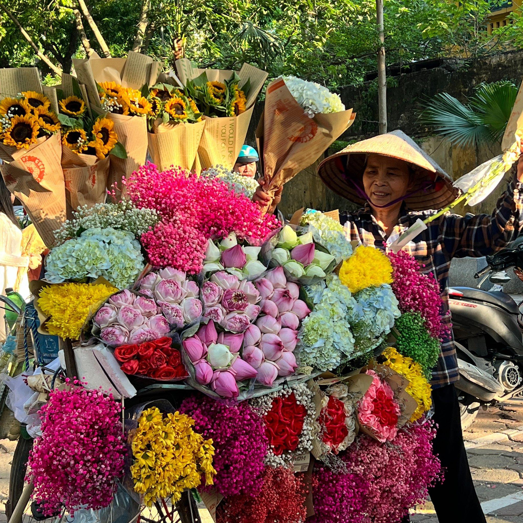 North Vietnam 5 Days: Hanoi, Ninh Binh & Halong Bay — photo 1